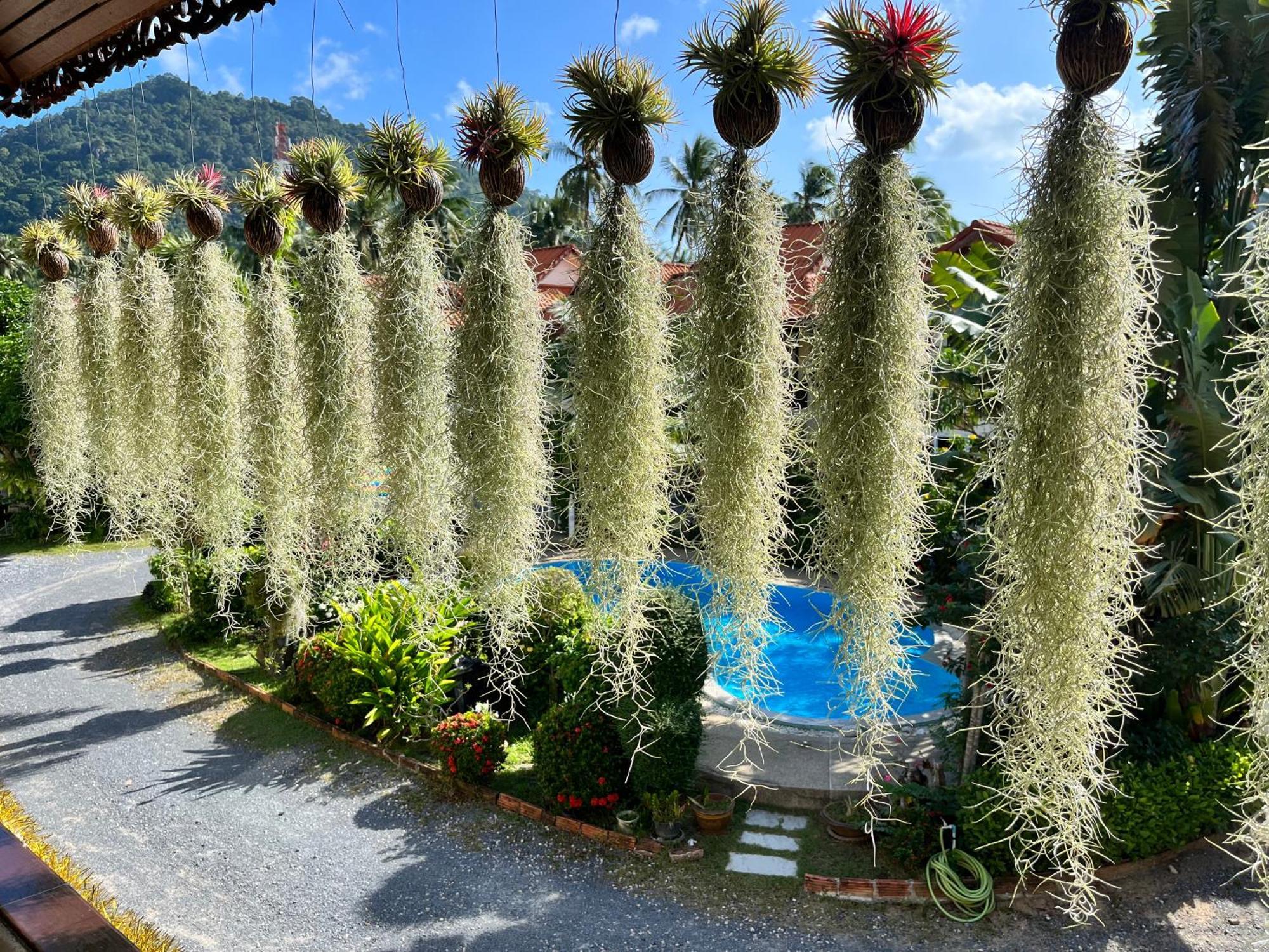 Amy Village Garden Resort Lamai Beach (Koh Samui) Exterior foto
